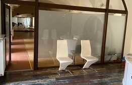 Spatiu comercial ULTRACENTRAL, 180 mp, cladire istorica clasa A