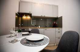 Garsoniera de inchiriat, 30 mp,  modern/lux, zona strazii Iuliu Maniu