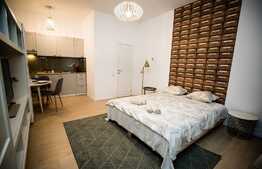 Garsoniera de inchiriat, 30 mp,  modern/lux, zona strazii Iuliu Maniu