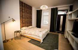 Garsoniera de inchiriat, 30 mp,  modern/lux, zona strazii Iuliu Maniu