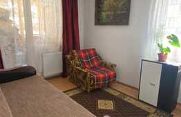 Apartament de 2 camere decomandate, 47 mp, balcon!  zona Teilor