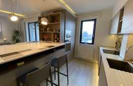 Apartament cu 2 camere, lux, la prima inchiriere, zona Iulius Mall