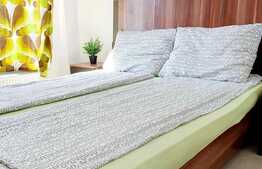 Apartament 2 camere, 35 mp, mobilat modern, zona Garii