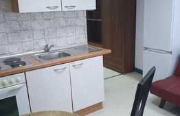 Apartament 2 camere, 35 mp, mobilat modern, zona Garii