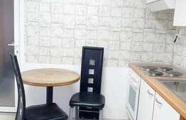 Apartament 2 camere, 35 mp, mobilat modern, zona Garii