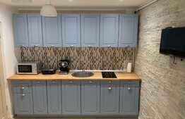 Apartament cu 2 camere, 45 mp, mobilat modern, zona Piata Cipariu