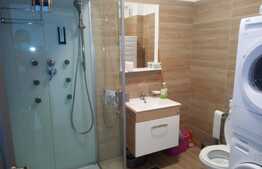 Apartament, 2 camere, intermediar, mobilat si utilat ,54mp, balcon, zona Corneliu Coposu