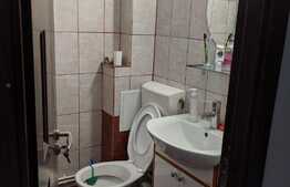 Apartament cu o camera, 22 mp, pet friendly, zona strazii Fabricii de Zahar