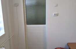 Apartament cu o camera, 22 mp, pet friendly, zona strazii Fabricii de Zahar