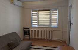 Apartament cu o camera, 22 mp, pet friendly, zona strazii Fabricii de Zahar