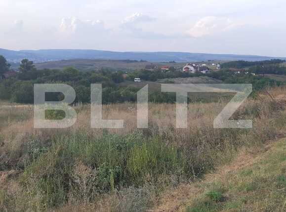 Teren de vânzare Borhanci - 49644TV | BLITZ Cluj-Napoca | Poza10