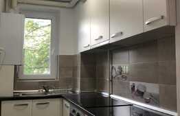 Apartament cu 3 camere, 55 mp, modern, garaj, zona Parcul Babes