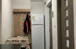 Apartament cu 3 camere, 55 mp, modern, garaj, zona Parcul Babes