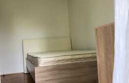 Apartament cu 3 camere, 55 mp, modern, garaj, zona Parcul Babes