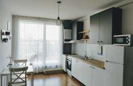 Apartament cu 2 camere, 48 mp, totul nou, zona strazii Paris