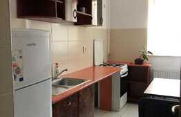 Garsoniera, 30 mp, loc de parcare in zona, in zona strazii Salcamului