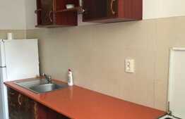 Garsoniera, 30 mp, loc de parcare in zona, in zona strazii Salcamului