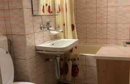 Garsoniera de inchiriat, 30 mp, moderna, in zona Piata Stefan Cel Mare