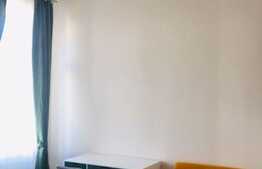 Garsoniera, 35 mp, moderna, Pet-friendly, zona Ultracentrala