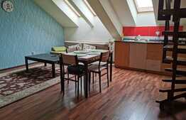 Penthouse, 100 mp, parcare, pet friendly, zona strazii Buna Ziua