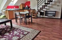 Penthouse, 100 mp, parcare, pet friendly, zona strazii Buna Ziua