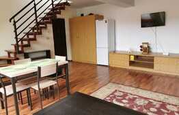 Penthouse, 100 mp, parcare, pet friendly, zona strazii Buna Ziua