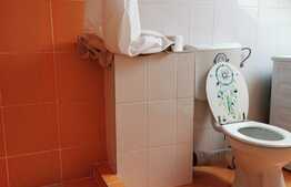 Penthouse, 100 mp, parcare, pet friendly, zona strazii Buna Ziua