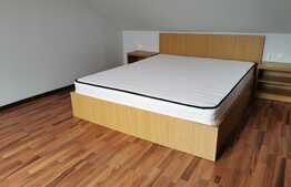 Penthouse, 100 mp, parcare, pet friendly, zona strazii Buna Ziua