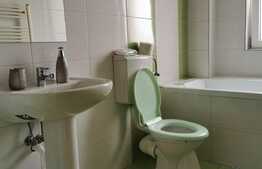 Penthouse, 100 mp, parcare, pet friendly, zona strazii Buna Ziua