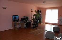 Apartament deosebit cu suprafata generoasa in Buna Ziua