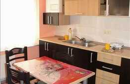 Apartament deosebit cu suprafata generoasa in Buna Ziua