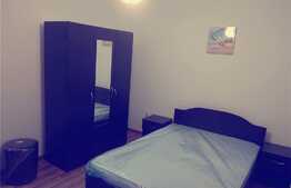 Apartament cu 2 camere, 60 mp, decomandat, mobilat modern, pet friendly, zona strazii Urusagului