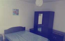 Apartament cu 2 camere, 60 mp, decomandat, mobilat modern, pet friendly, zona strazii Urusagului