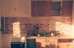 Apartament cu 2 camere, 60 mp, decomandat, mobilat modern, pet friendly, zona strazii Urusagului