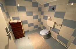 Apartament cu 4 camere, 2 nivele, 108 mp, mobilat utilat, zona Florilor