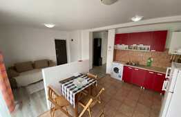 Apartament 2 camere, 44 mp, partial mobilat, zona Tineretului