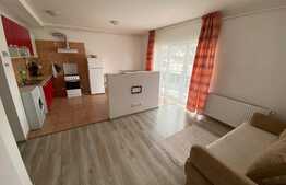 Apartament 2 camere, 44 mp, partial mobilat, zona Tineretului