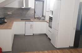 Apartament cu 4 camere, 100 mp, curte, foisor, zona strazii Hameiului