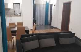 Apartament cu 4 camere, 100 mp, curte, foisor, zona strazii Hameiului