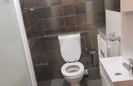 Apartament cu 4 camere, 100 mp, curte, foisor, zona strazii Hameiului