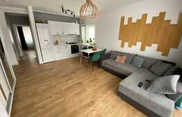 Apartament 2 camere, 49 mp, la cheie, zona Teilor