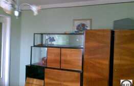 3 camere de vanzare in Manastur!