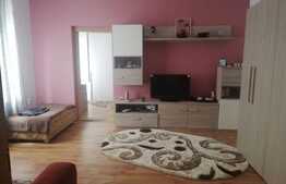 Apartament 2 camere, constructie tip casa, mobilat si utilat modern, 54 mp, zona strazii Paris