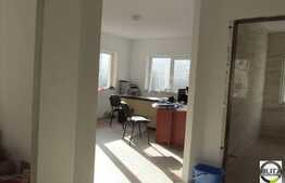 Apartament la demisol inalt cu 1 camera, 41 mp utili