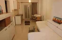 Apartament 2 camere, 40 mp, mobilat modern, zona strazii Fabricii