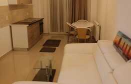 Apartament 2 camere, 40 mp, mobilat modern, zona strazii Fabricii