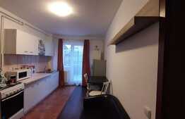 Pret redus temporar! Apartament cu 2 camere, 40 mp, terasa, pet friendly, zona strazii Edgar Quinet 