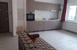 Apartament cu 2 camere, 50 mp, gradina, zona strazii Sesul de Sus