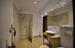 Apartament cu 2 camere, 70 mp, mobilat lux, terasa 50 mp, parcare, zona American Village