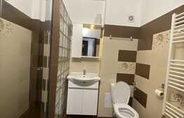 Apartament cu 2 camere, 45 mp, mobilat modern, prima inchiriere, zona strazii Calea Borhanciului